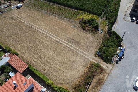 Terra a Ovar, Aveiro, Ovar - € 135.000 | Ref: 125667 - foto 19