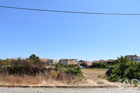 Terra a Ovar, Aveiro, Ovar - € 135.000 | Ref: 125667 - foto 20