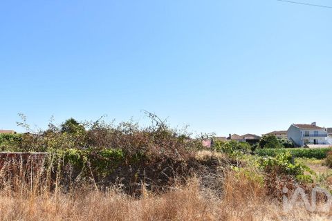 Terra a Ovar, Aveiro, Ovar - € 135.000 | Ref: 125667 - foto 21