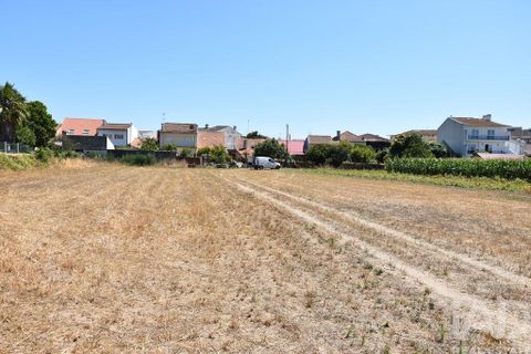 Terra a Ovar, Aveiro, Ovar - € 135.000 | Ref: 125667 - foto 24