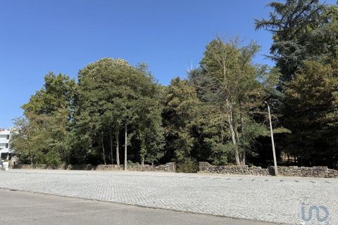 Terra a Chaves, Vila Real, Chaves - € 1.000.000 | Ref: 149455 - foto 3