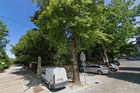 Terra a Chaves, Vila Real, Chaves - € 1.000.000 | Ref: 149455 - foto 6