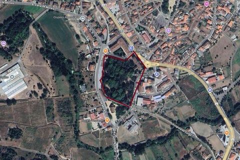 Terra a Chaves, Vila Real, Chaves - € 1.000.000 | Ref: 149455 - foto 9