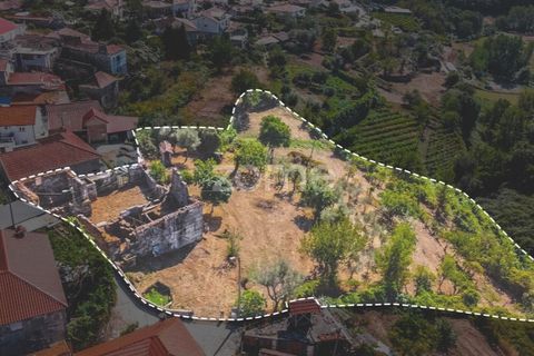 Villa i Moimenta da Beira, Viseu, Moimenta da Beira - € 50.000 | Ref: ZMPT580820 - foto 10