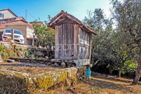 Villa i Moimenta da Beira, Viseu, Moimenta da Beira - € 50.000 | Ref: ZMPT580820 - foto 18