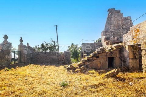 Villa i Moimenta da Beira, Viseu, Moimenta da Beira - € 50.000 | Ref: ZMPT580820 - foto 15