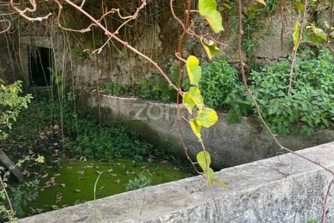 Villa i Moimenta da Beira, Viseu, Moimenta da Beira - € 50.000 | Ref: ZMPT580820 - foto 13