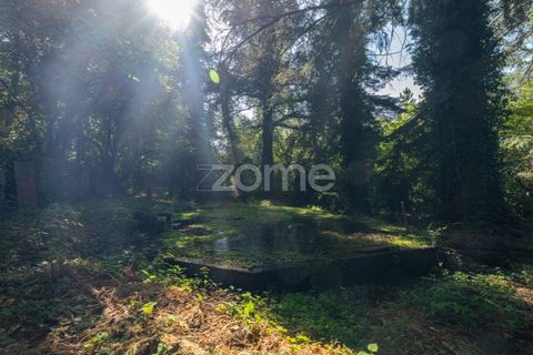 Cortijo i Castro Daire, Viseu, Castro Daire - € 650.000 | Ref: ZMPT580774 - foto 33