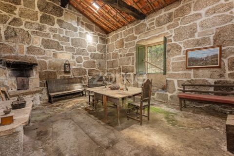Cortijo i Castro Daire, Viseu, Castro Daire - € 650.000 | Ref: ZMPT580774 - foto 26