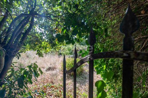 Cortijo i Castro Daire, Viseu, Castro Daire - € 650.000 | Ref: ZMPT580774 - foto 38
