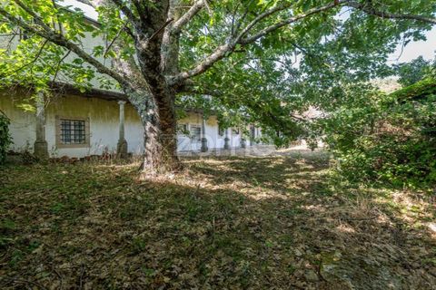 Cortijo i Castro Daire, Viseu, Castro Daire - € 650.000 | Ref: ZMPT580774 - foto 7