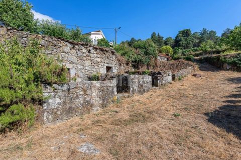 Cortijo i Castro Daire, Viseu, Castro Daire - € 650.000 | Ref: ZMPT580774 - foto 3
