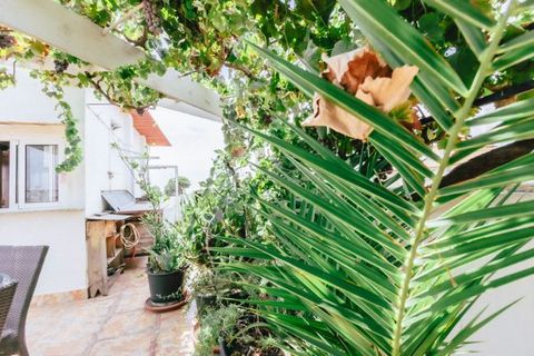 Villa i Moncada, Valencia, Moncada - € 390.000 | Ref: 4bd9fd93-7c0b-46eb-8 - foto 46