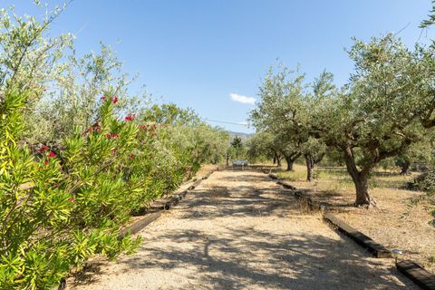 Villa i Ontinyent, Valencia, Ontinyent - € 490.000 | Ref: bd7b5100-7ccb-47fc-9 - foto 42