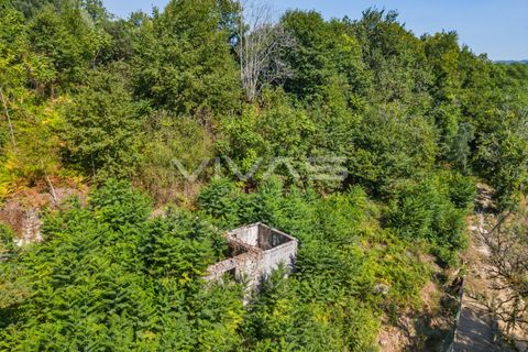Villa a Vila Verde, Braga, Vila Verde - € 29.500 | Ref: 01-3678 - foto 6
