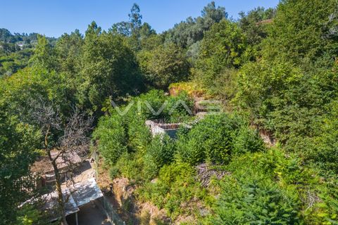 Villa a Vila Verde, Braga, Vila Verde - € 29.500 | Ref: 01-3678 - foto 9