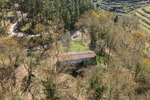 Villa a Celorico de Basto, Braga, Celorico de Basto - € 94.000 | Ref: 126221008-335 - foto 3