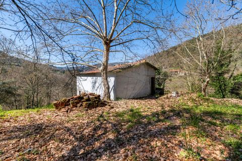 Villa a Celorico de Basto, Braga, Celorico de Basto - € 94.000 | Ref: 126221008-335 - foto 4