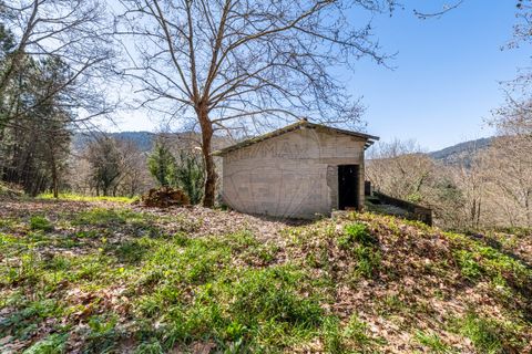 Villa a Celorico de Basto, Braga, Celorico de Basto - € 94.000 | Ref: 126221008-335 - foto 5
