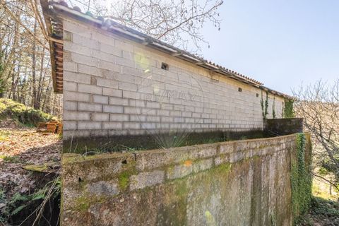 Villa a Celorico de Basto, Braga, Celorico de Basto - € 94.000 | Ref: 126221008-335 - foto 14