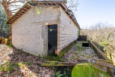 Villa a Celorico de Basto, Braga, Celorico de Basto - € 94.000 | Ref: 126221008-335 - foto 15