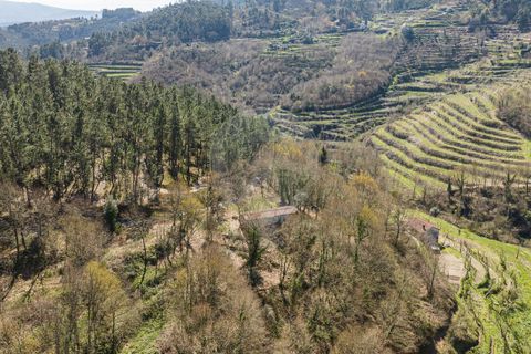 Villa a Celorico de Basto, Braga, Celorico de Basto - € 94.000 | Ref: 126221008-335 - foto 16