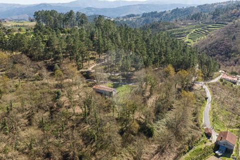 Villa a Celorico de Basto, Braga, Celorico de Basto - € 94.000 | Ref: 126221008-335 - foto 17