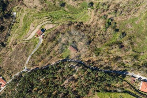 Villa a Celorico de Basto, Braga, Celorico de Basto - € 94.000 | Ref: 126221008-335 - foto 19