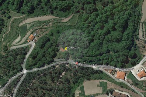 Villa a Celorico de Basto, Braga, Celorico de Basto - € 94.000 | Ref: 126221008-335 - foto 21