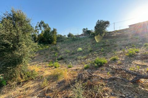Helårsgrund i Barcelos, Braga, Barcelos - € 79.900 | Ref: 123331170-51 - foto 4