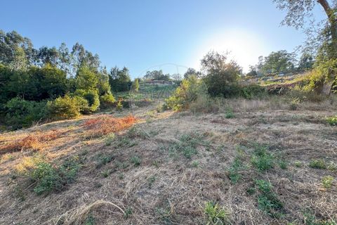 Helårsgrund i Barcelos, Braga, Barcelos - € 79.900 | Ref: 123331170-51 - foto 5