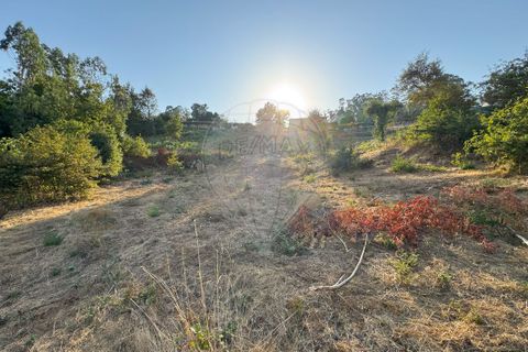 Helårsgrund i Barcelos, Braga, Barcelos - € 79.900 | Ref: 123331170-51 - foto 6