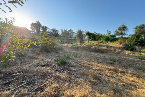 Helårsgrund i Barcelos, Braga, Barcelos - € 79.900 | Ref: 123331170-51 - foto 7