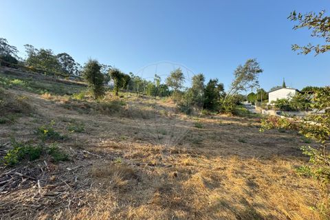 Helårsgrund i Barcelos, Braga, Barcelos - € 79.900 | Ref: 123331170-51 - foto 8