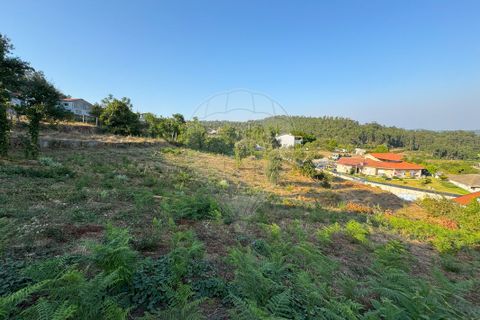 Helårsgrund i Barcelos, Braga, Barcelos - € 79.900 | Ref: 123331170-51 - foto 12