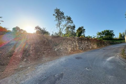 Helårsgrund i Barcelos, Braga, Barcelos - € 79.900 | Ref: 123331170-51 - foto 13