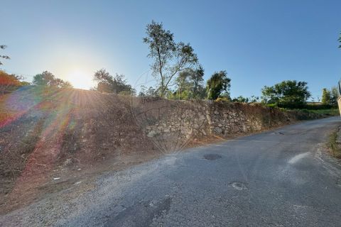 Helårsgrund i Barcelos, Braga, Barcelos - € 79.900 | Ref: 123331170-52 - foto 9