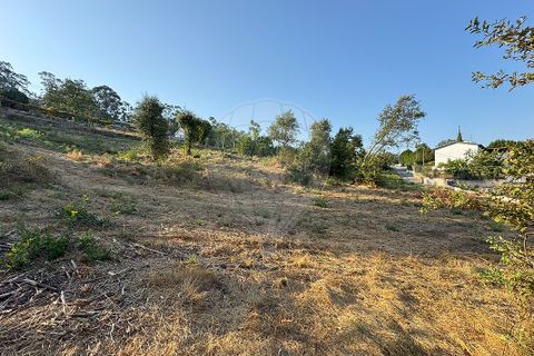 Helårsgrund i Barcelos, Braga, Barcelos - € 79.900 | Ref: 123331170-52 - foto 20