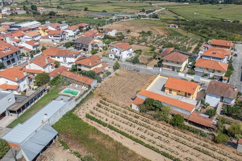 Helårsgrund i Chaves, Vila Real, Chaves - € 77.500 | Ref: 126381014-61 - foto 8