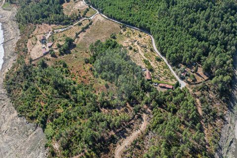 Terra a Boticas, Vila Real, Boticas - € 130.000 | Ref: 126381014-63 - foto 4