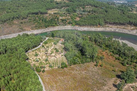 Terra a Boticas, Vila Real, Boticas - € 130.000 | Ref: 126381014-63 - foto 9