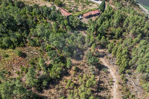 Terra a Boticas, Vila Real, Boticas - € 130.000 | Ref: 126381014-63 - foto 10
