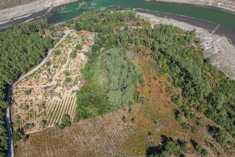 Terra a Boticas, Vila Real, Boticas - € 130.000 | Ref: 126381014-63 - foto 13