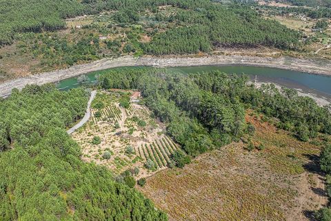 Terra a Boticas, Vila Real, Boticas - € 130.000 | Ref: 126381014-63 - foto 14
