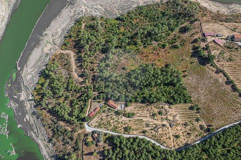 Terra a Boticas, Vila Real, Boticas - € 130.000 | Ref: 126381014-63 - foto 15