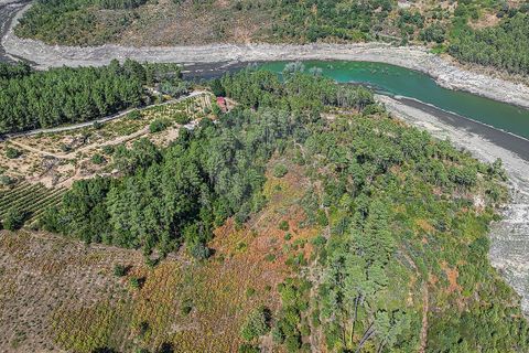 Terra a Boticas, Vila Real, Boticas - € 130.000 | Ref: 126381014-63 - foto 16