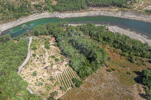Terra a Boticas, Vila Real, Boticas - € 130.000 | Ref: 126381014-63 - foto 18
