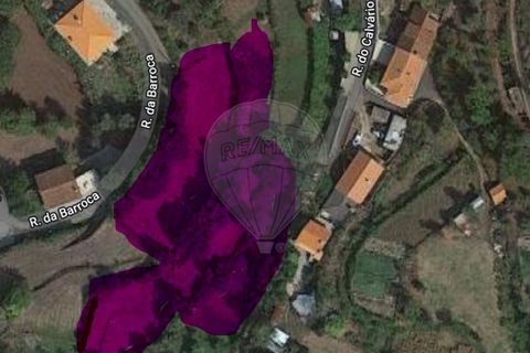 Helårsgrund i Ponte de Lima, Viana do Castelo, Ponte de Lima - € 86.000 | Ref: 126971023-7 - foto 1
