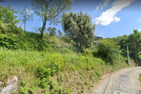 Helårsgrund i Ponte de Lima, Viana do Castelo, Ponte de Lima - € 86.000 | Ref: 126971023-7 - foto 2