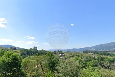 Helårsgrund i Ponte de Lima, Viana do Castelo, Ponte de Lima - € 86.000 | Ref: 126971023-7 - foto 11
